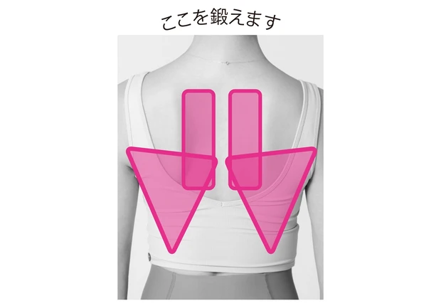 ここを鍛えます