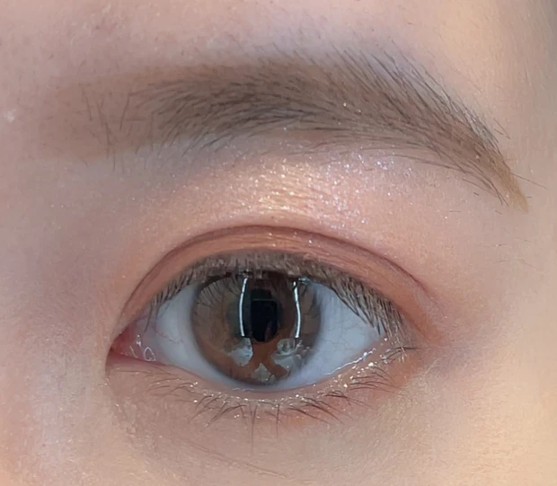 ザ アイシャドウ パレット 105のスウォッチ②