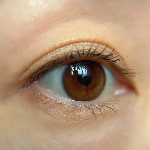 フジコ オートマチックアイシャドウ03 スウォッチ