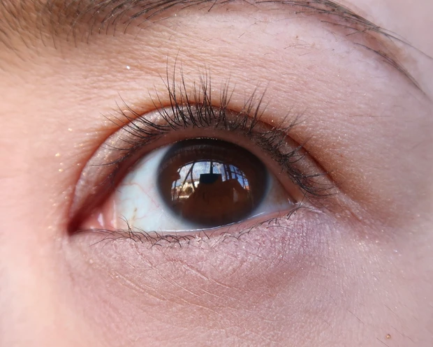 CANMAKE  プランぷくコーデアイズのマット