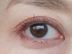 40代の目もとにもしっとり密着！エレガンス高発色2色シャドウが優秀！_8_2