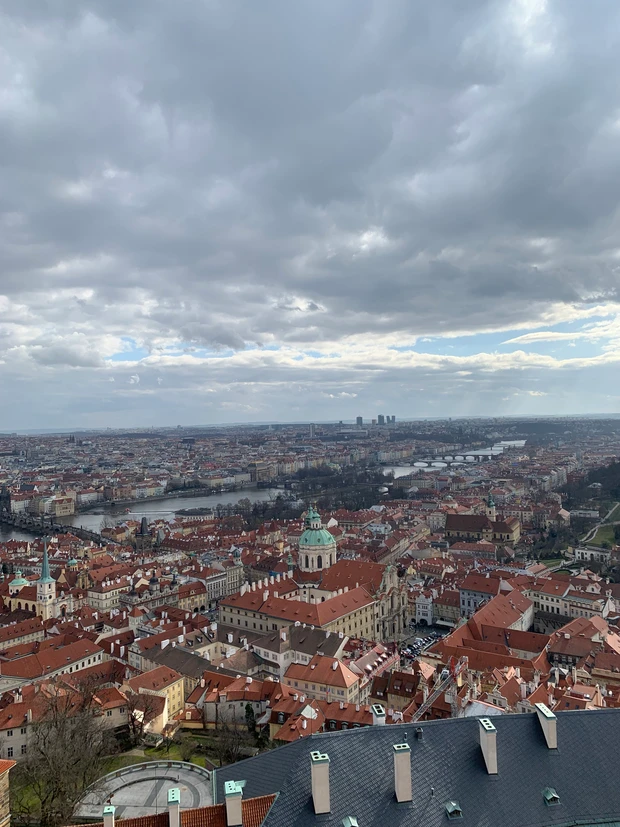 【自己紹介】マキアインフルエンサー1年目のrisaです! これからおすすめのコスメや美容について発信していきます♪_2_6