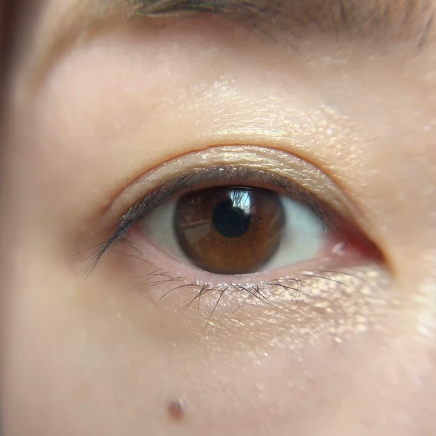 シグニチャーカラーアイズ14 使い方