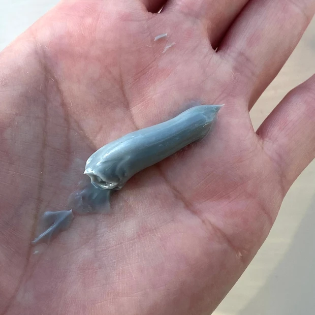 一本で三役のWELEDA「 ローズマリーヘッドスパクレンジング」落ちなかったスタイリング剤汚れが取れた！！_4_1