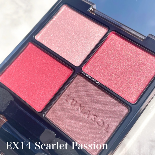 ルナソル アイカラーレーション EX14 Scarlet Passion