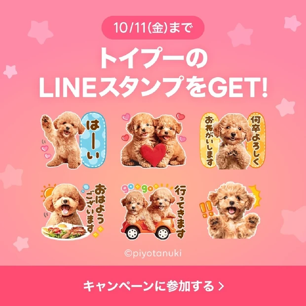 最新美容情報をLINEにお届け！ 「トイプー×選べるニュース」LINE…