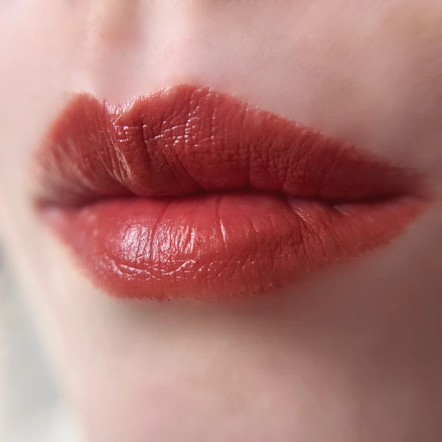 シアーリップブリック 着画