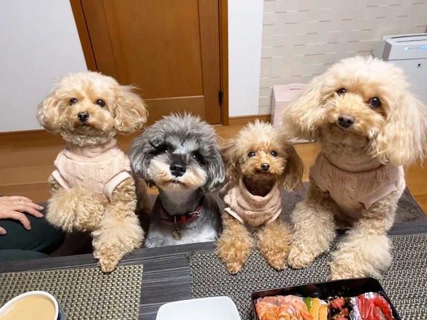 トップブロガー4年目突入!Sayuriについて教えます!_3_1