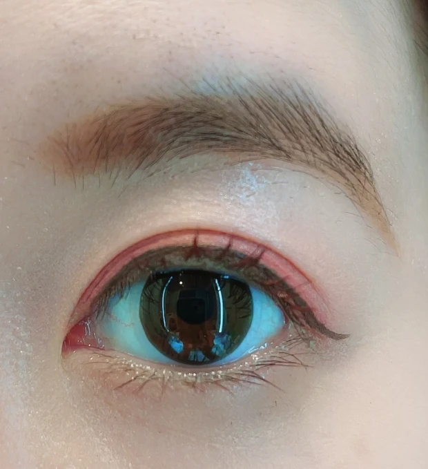 エレガンス グラヴィティレス マスカラ BR20のメイク