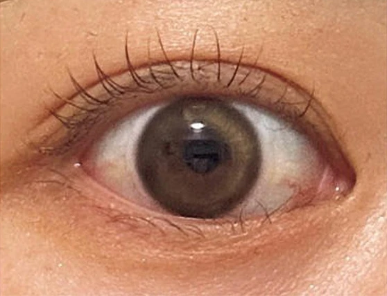 マスカラ ディオールショウのスウォッチ BEFORE