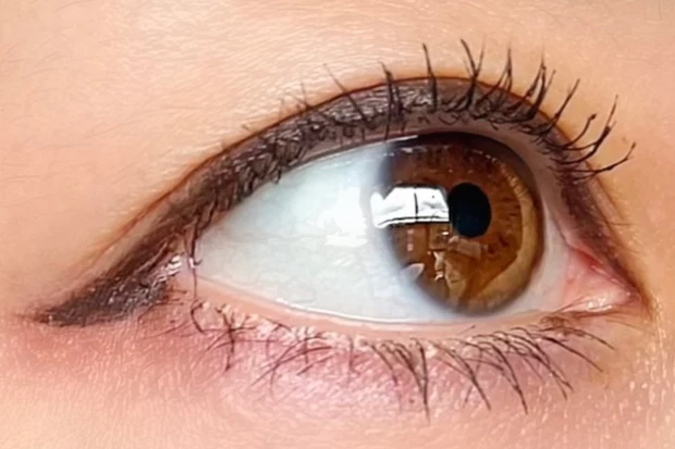 CANMAKE(キャンメイク)クリーミータッチライナー03ダークブラウン