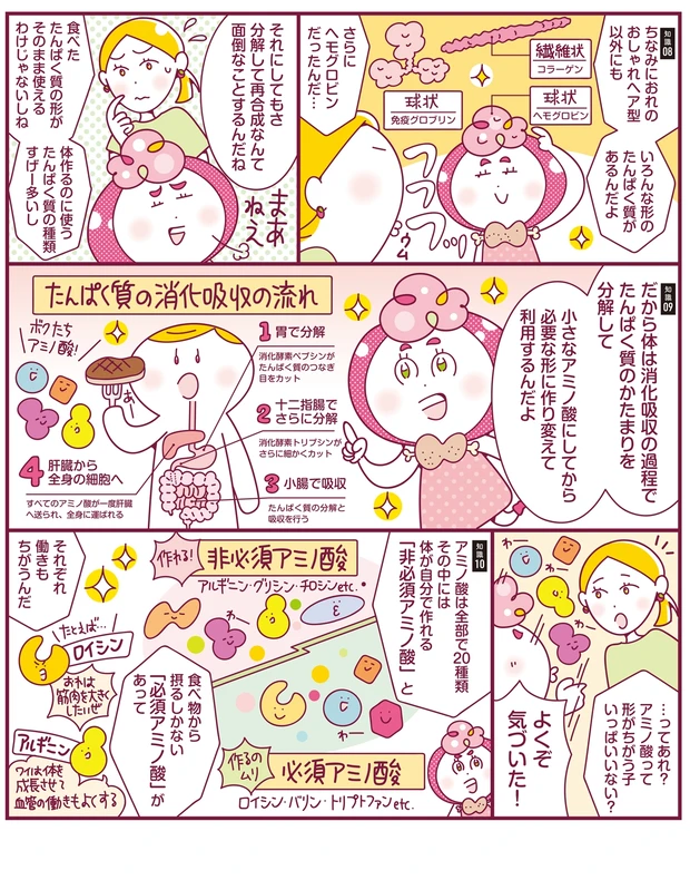 たんぱく質の知識を深めよう