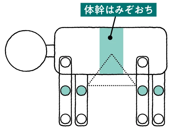 あなたは陰・陽タイプどっち？  正しい体の使い方 PhotoGallery_1_9