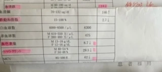 アサイーで貧血改善活動中です!_1_1