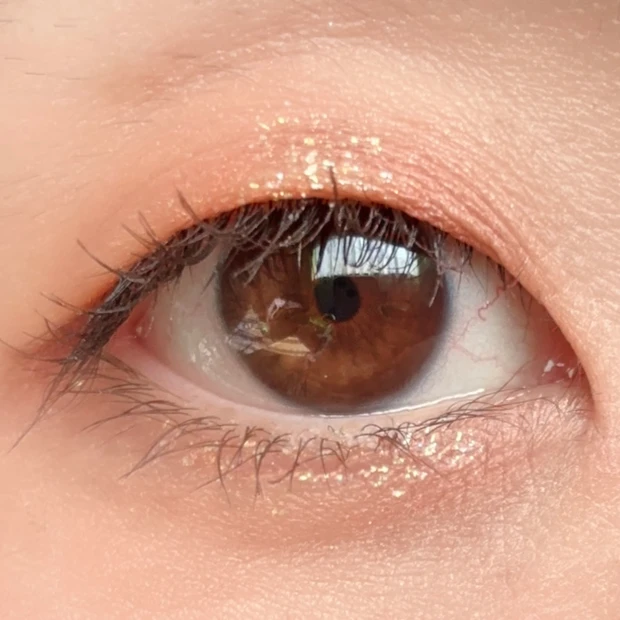 toocoolforschool アイグリッツ