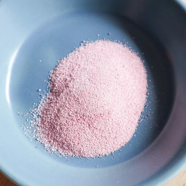 SHISEIDO アルティミューン プロバイオティクス パウダー