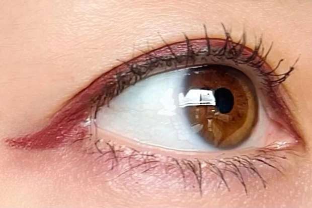 キャンメイク クリーミータッチライナー [06]フォギープラム