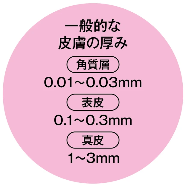 一般的な皮膚の厚み 角質層は0.01〜0.03mm、表皮は0.1〜0.3mm、真皮は1〜3mm