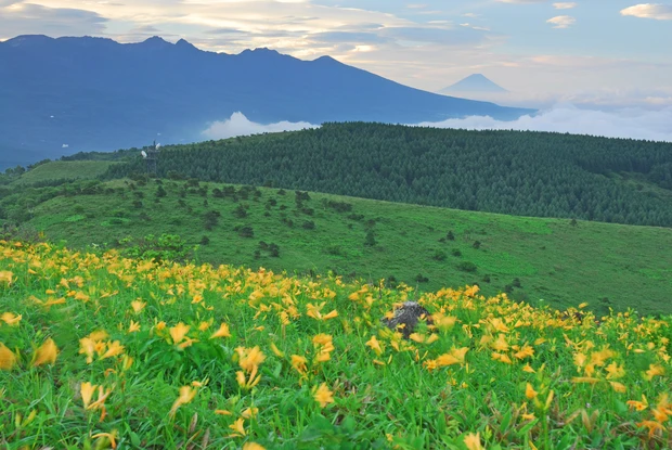 月山もも ひとリート ソロ登山 初心者 登山 半日 日帰り リトリート 長野 霧ヶ峰 高山植物 高原
