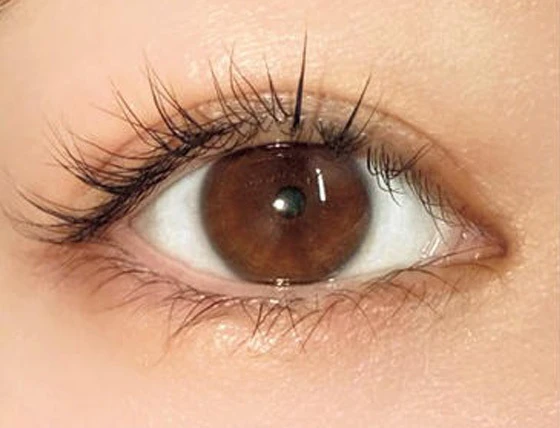 エレガンス カールアメイジング マスカラのスウォッチ BEFORE