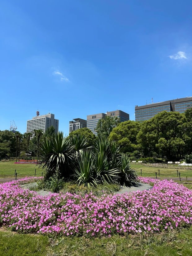 SABONの花壇を発見!_4