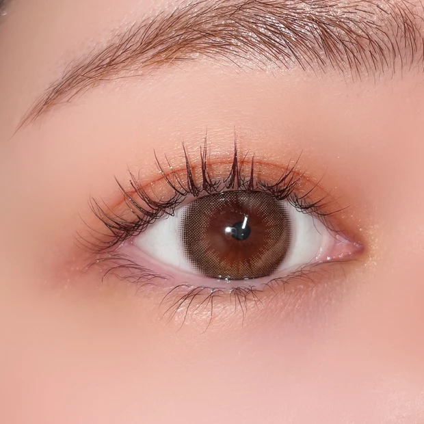 資生堂 ピコ 08 照葉 てりは