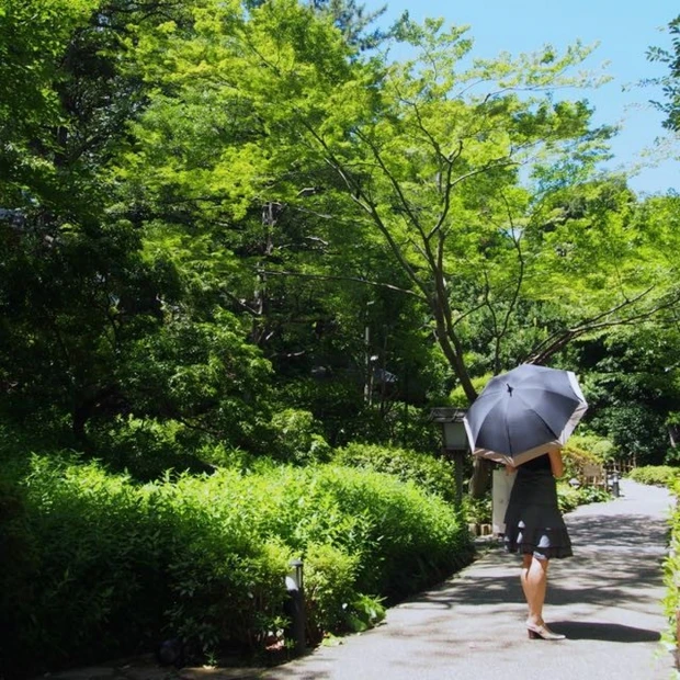 ◆美容歳時記◆夏のあと片付けのススメ
