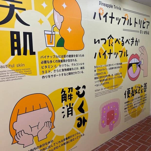 沖縄土産にオススメ♡ナゴパイナップルパーク【パイン炭石けん】120万個売れた人気の理由は？パイナップルの嬉しい美容効果も♡_6_1