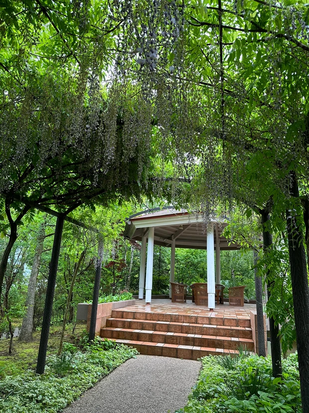 絵本の中にいるような美しい庭園「ラ・カスタ ナチュラル ヒーリング ガーデン」ブランド愛が高まる！！_7_1