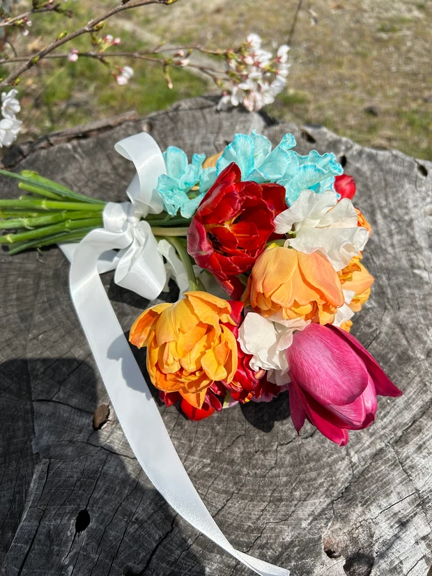 マキアインフルエンサー１年目のむんです🌷日々取り入れやすい美容を発信していきたいです💝_2