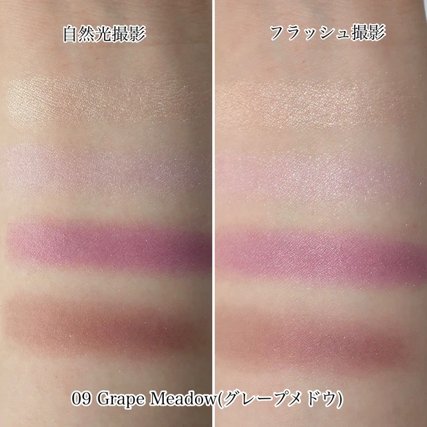 ルナソル LUNASOL アイカラーレーション N 09 グレープメドウ 新色 スウォッチ