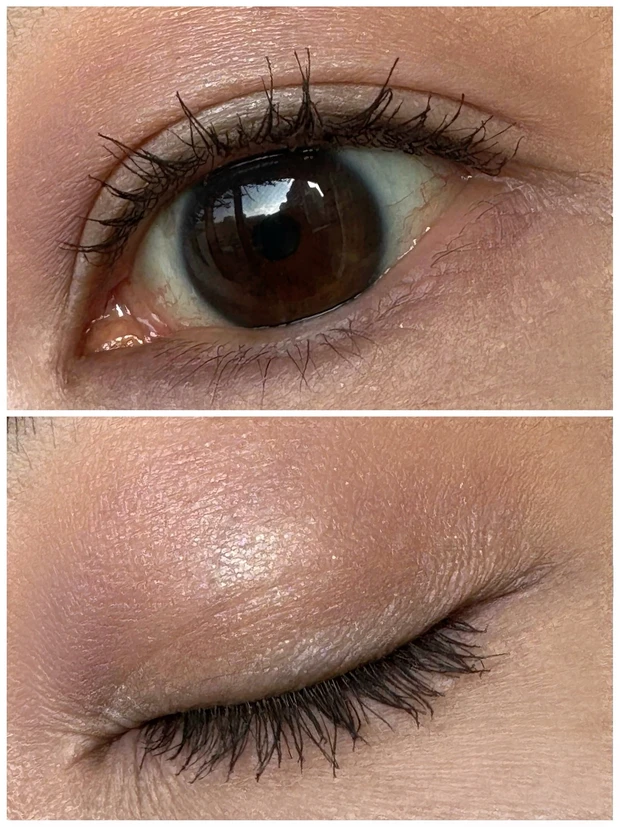 アディクション　デパコス　アイシャドウ　限定　クリスマスコフレ　ホリデーコレクション