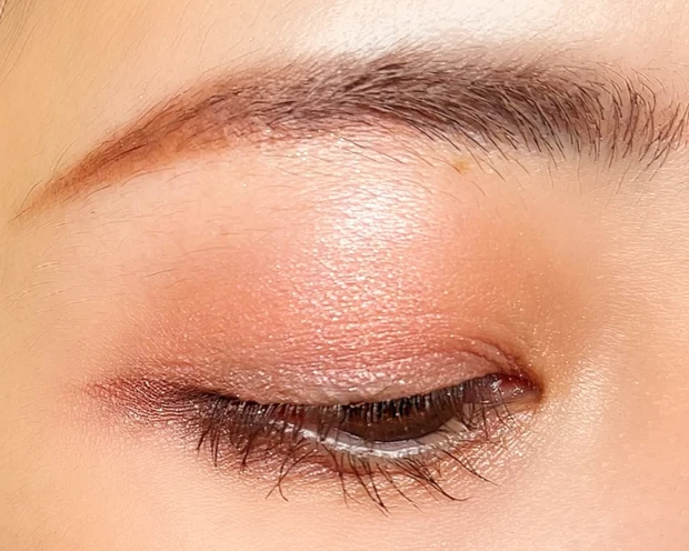 CANMAKE キャンメイク プティパレットアイズ プリュムフラワー