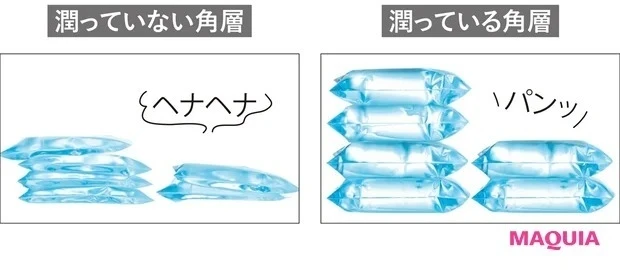 角層とは?_5. 角層が潤っているとハリが出る