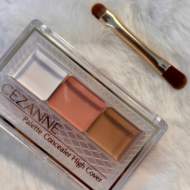 セザンヌ パレットコンシーラー ハイカバー 00 明るめカラー