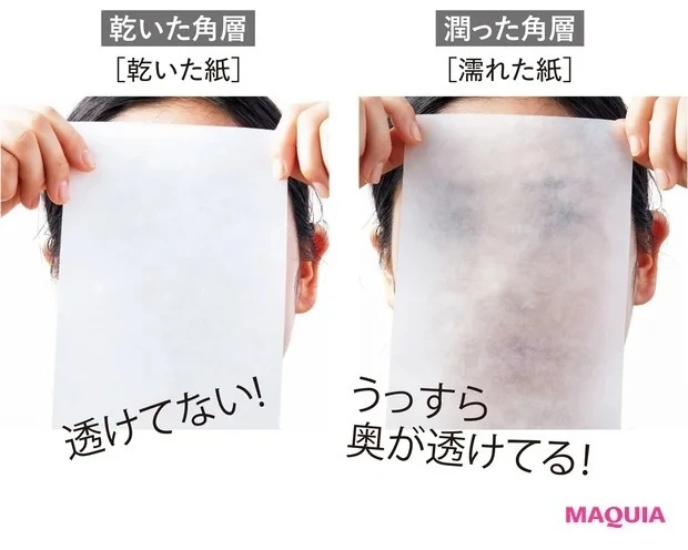 角層とは?_2. 角層が潤っていると透明感が増す