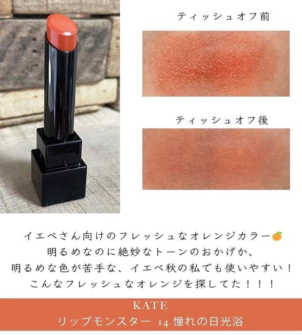 【イエベ秋】の私がブルベカラー多めの新作リップモンスターを使ってみた!_7