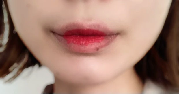 リップ&使用コスメ