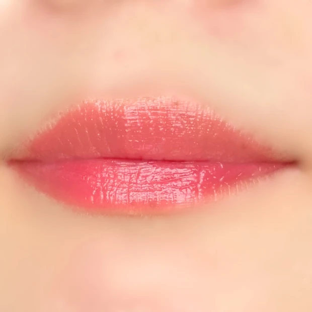 ザジューシーラスティングティント 29