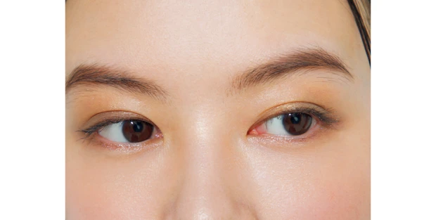 「どうぶつ顔タイプ」から導く正解メイク PhotoGallery_2_13