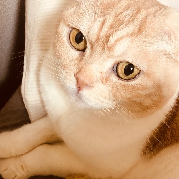 【自己紹介】3年目miriです！_2_1