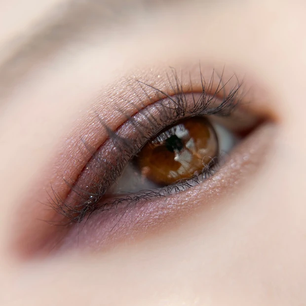 ADDICTION アイシャドウパレット ブラウン系 6色 アディクション ザ アイシャドウ パレット ＋(6g 001 Vintage