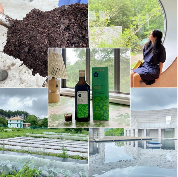 【自己紹介】思い出をプレイバック！MAQUIA12年目のこまひろ⭐︎ です！_3