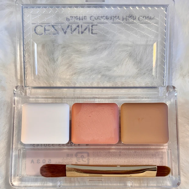 セザンヌ パレットコンシーラー ハイカバー 00 明るめカラー