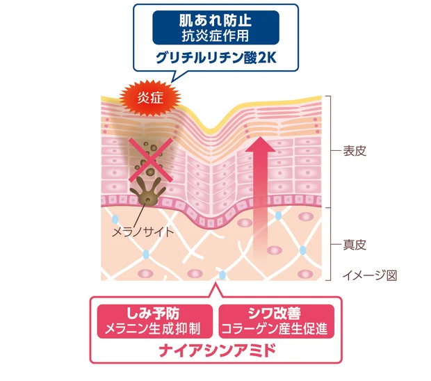 ミノン アミノモイスト エイジングケア アイクリーム 敏感肌“あるある”悩みを狙い撃ち！