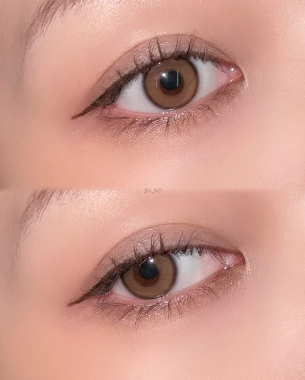 2025 2026 モカムース メイク ブラウン 秋 冬 イエベ 韓国 コスメ プチプラ リップ アイシャドウ