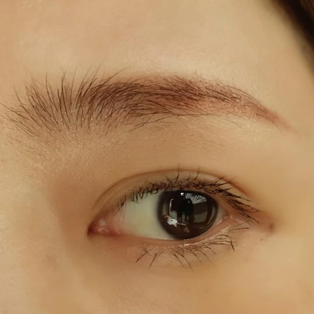 ベストコスメ 2022 MYベストコスメ ベスコス  Celvoke セルヴォーク インディケイト アイブロウパウダー 08 プラムブラウン