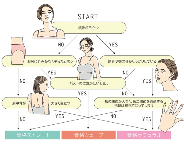 骨格診断チャート