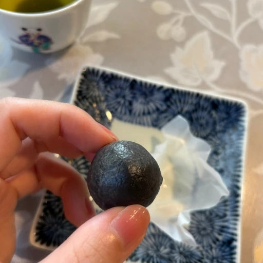 HIGASHIYA ひと口果子 黒橡