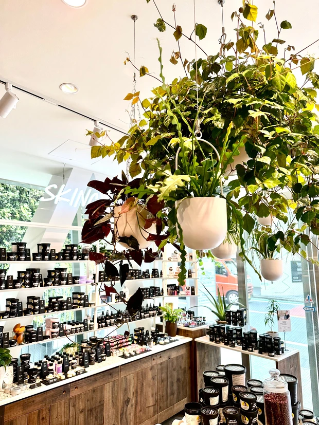 国内で3店舗目となるLUSH　SPAが自由が丘にOPEN_2_1